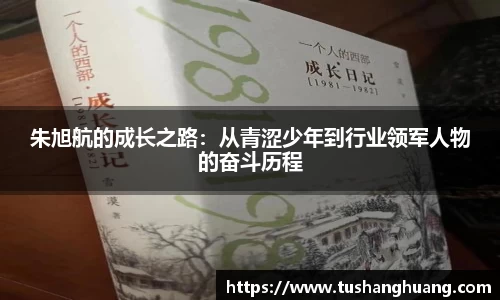 3377体育官网